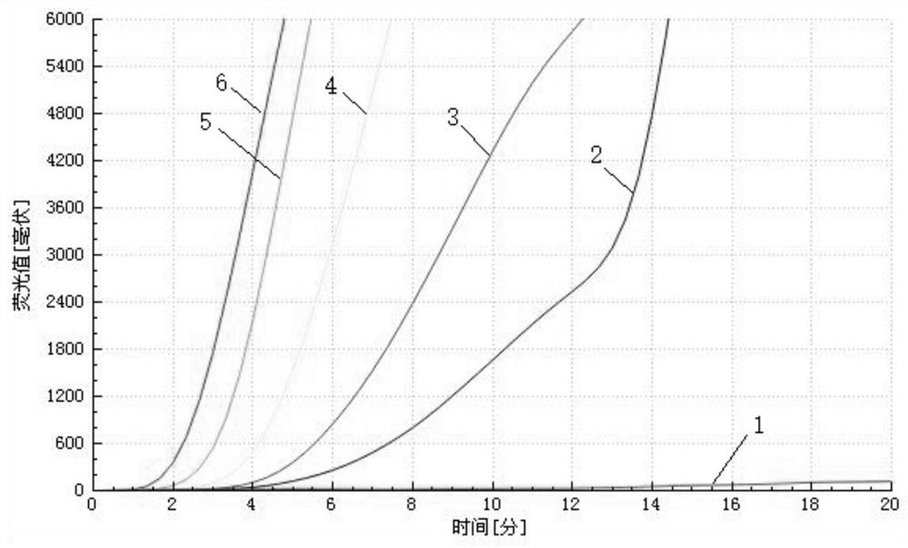 Primer probe combination, kit and detection method for detecting duck adenovirus type 3 based on RAA technology