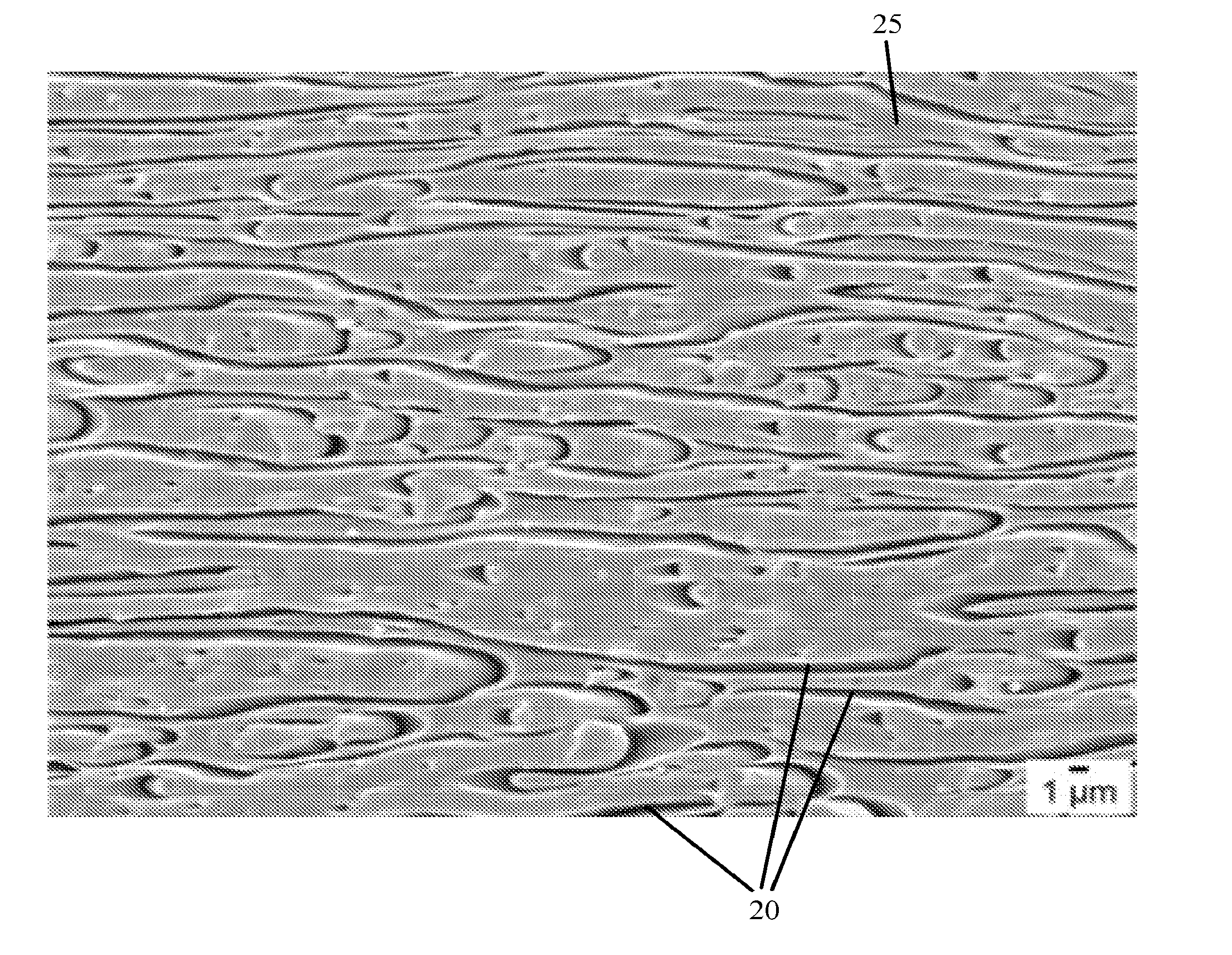 Polymer blends