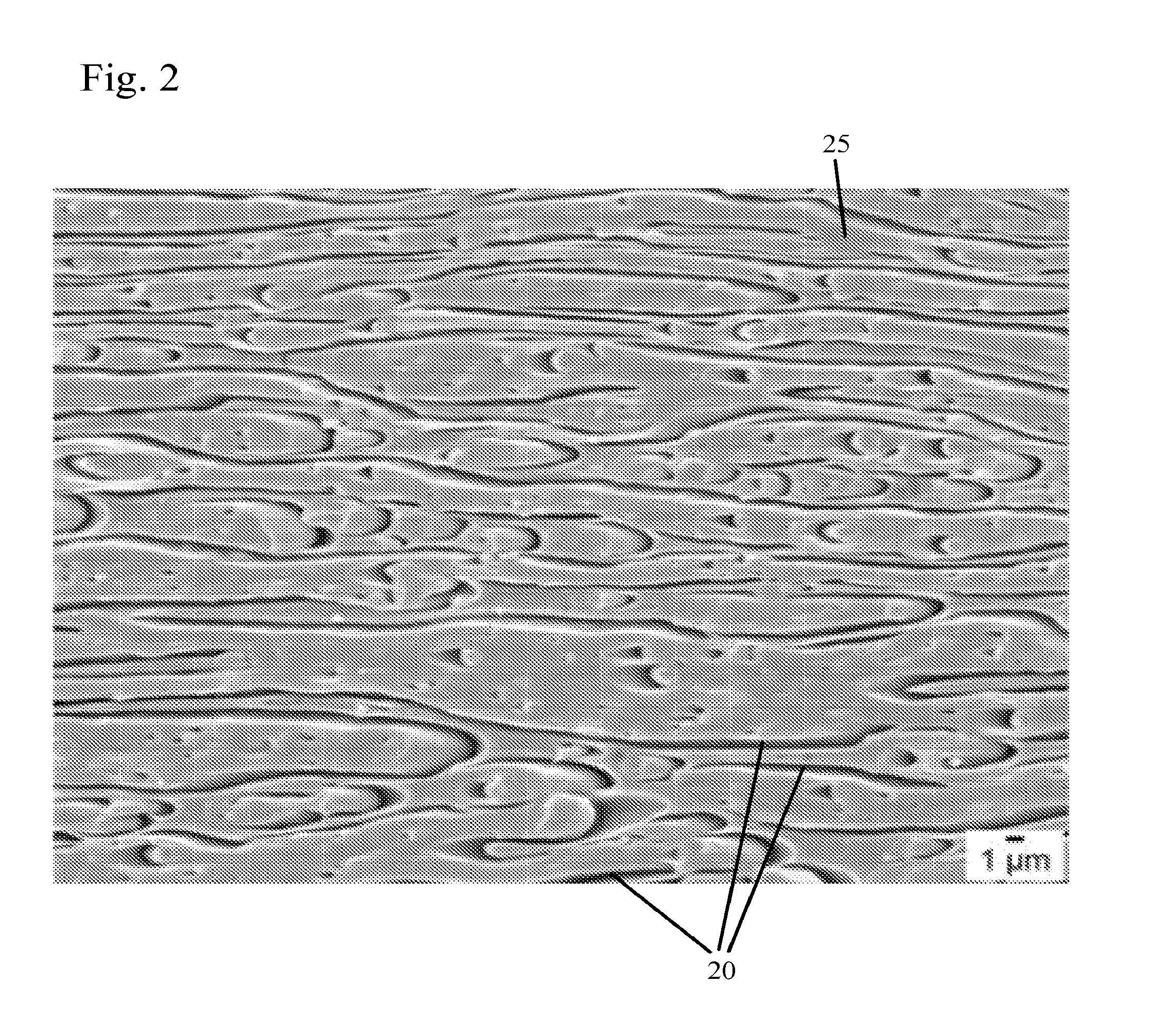 Polymer blends