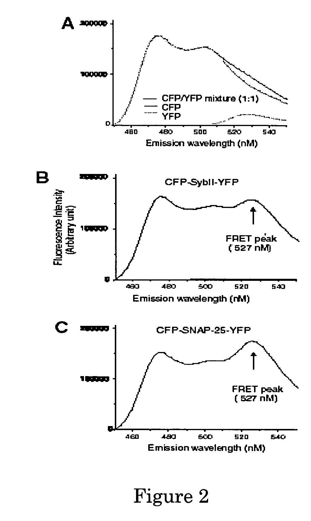 Method and compositions for detecting botulinum neurotoxin