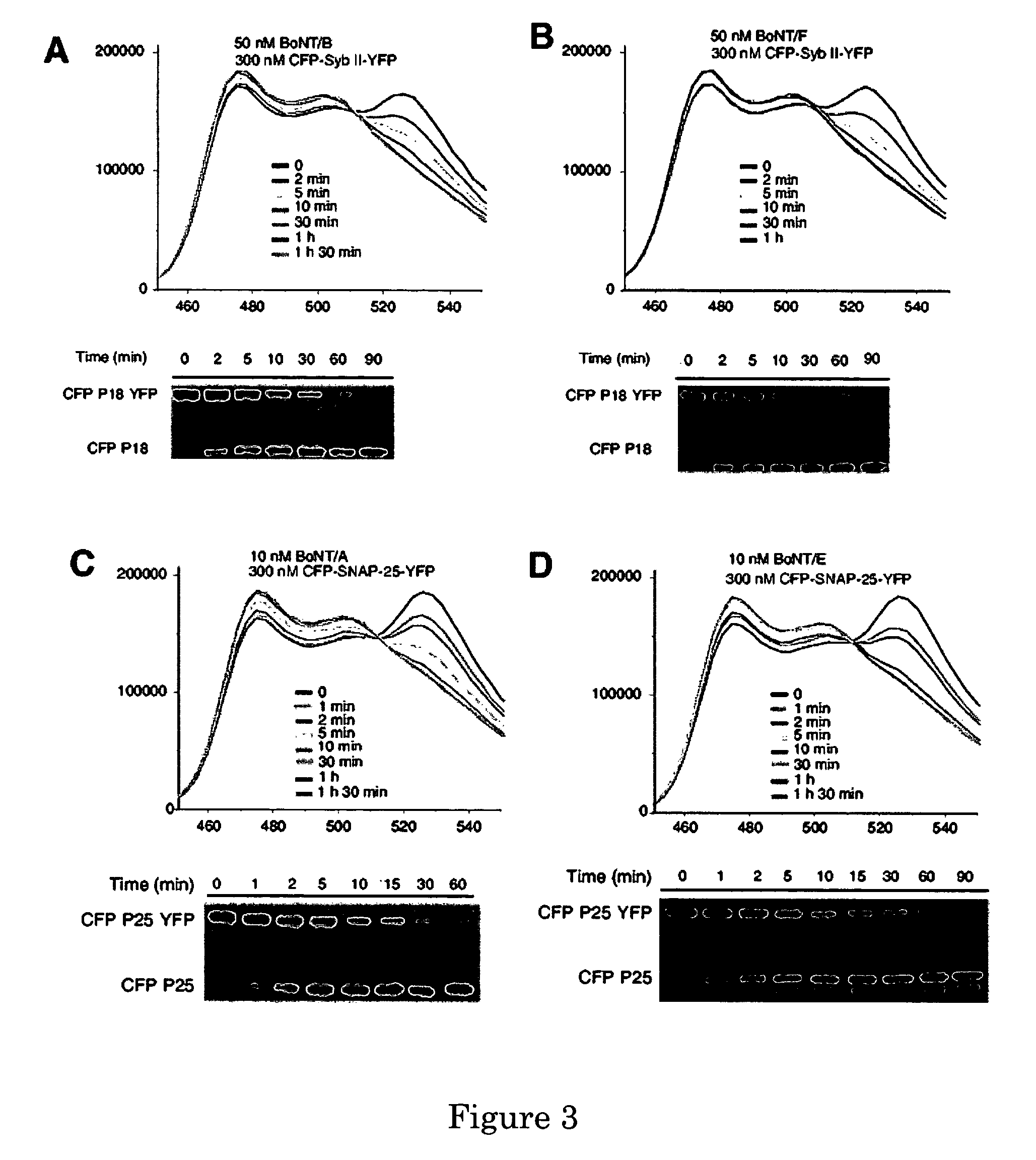 Method and compositions for detecting botulinum neurotoxin