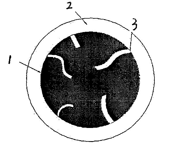 Magnetic-particle photocatalyst with core-shell structure, preparation and application thereof