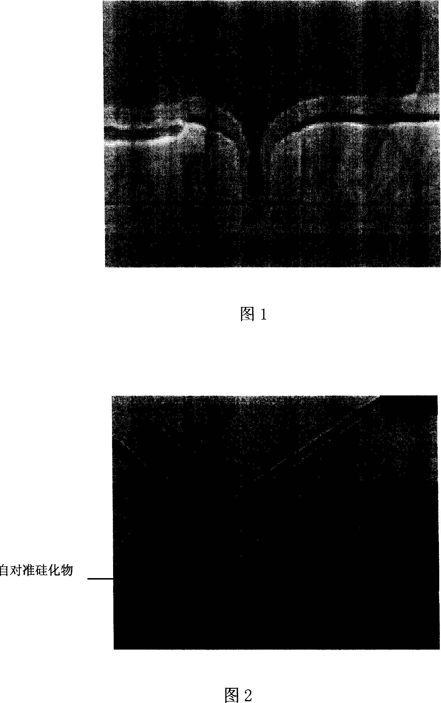 Manufacturing process of self-aligned silicide barrier layer