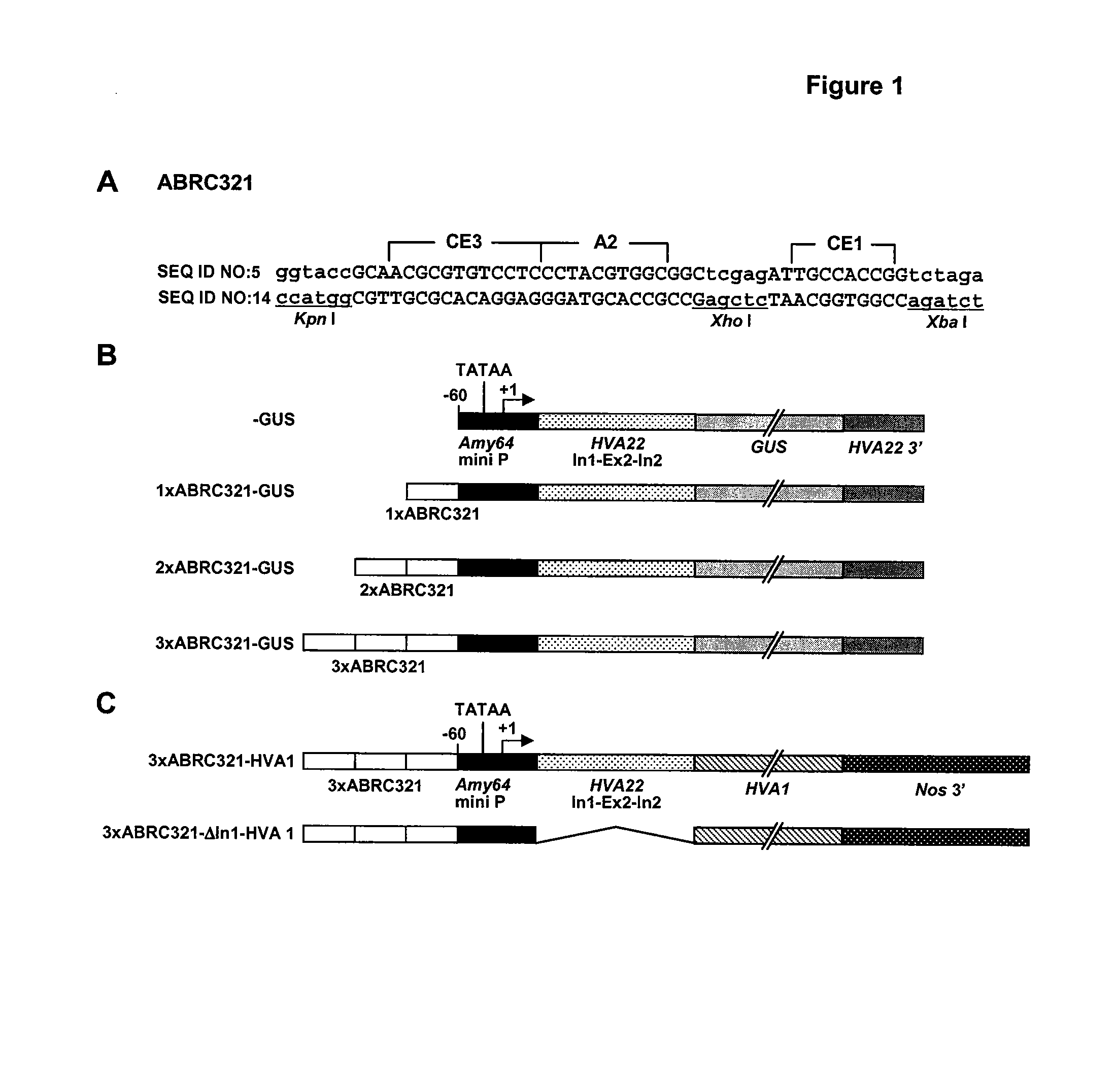 Abiotic stress tolerant transgenic plants