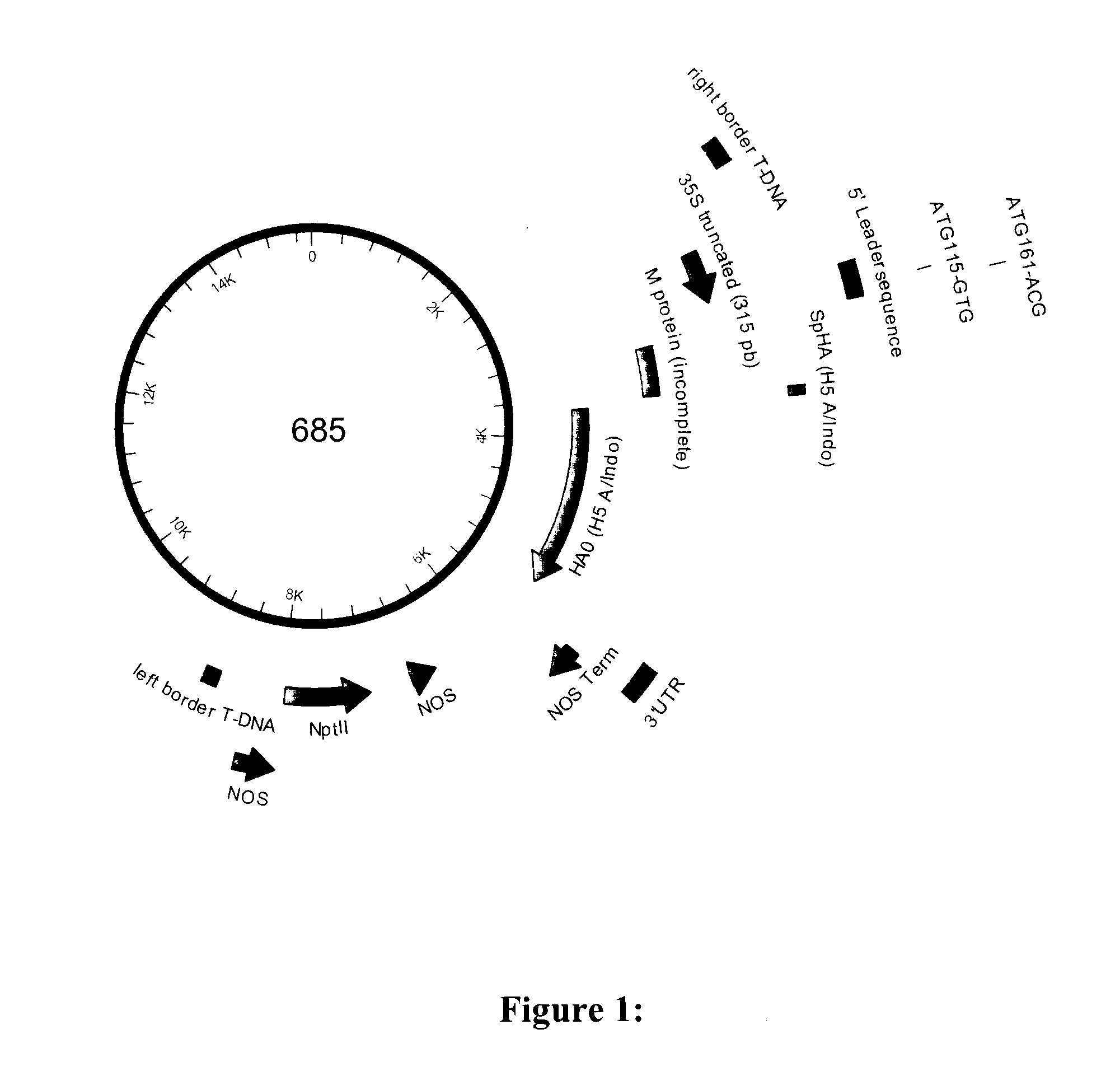 Method of preparing plant-derived proteins