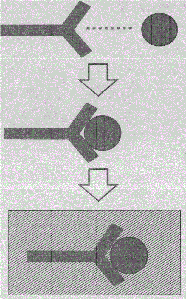 Method of accelerating sample treatment with addition of graphene