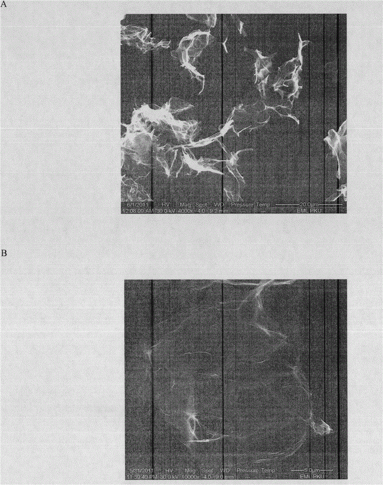 Method of accelerating sample treatment with addition of graphene