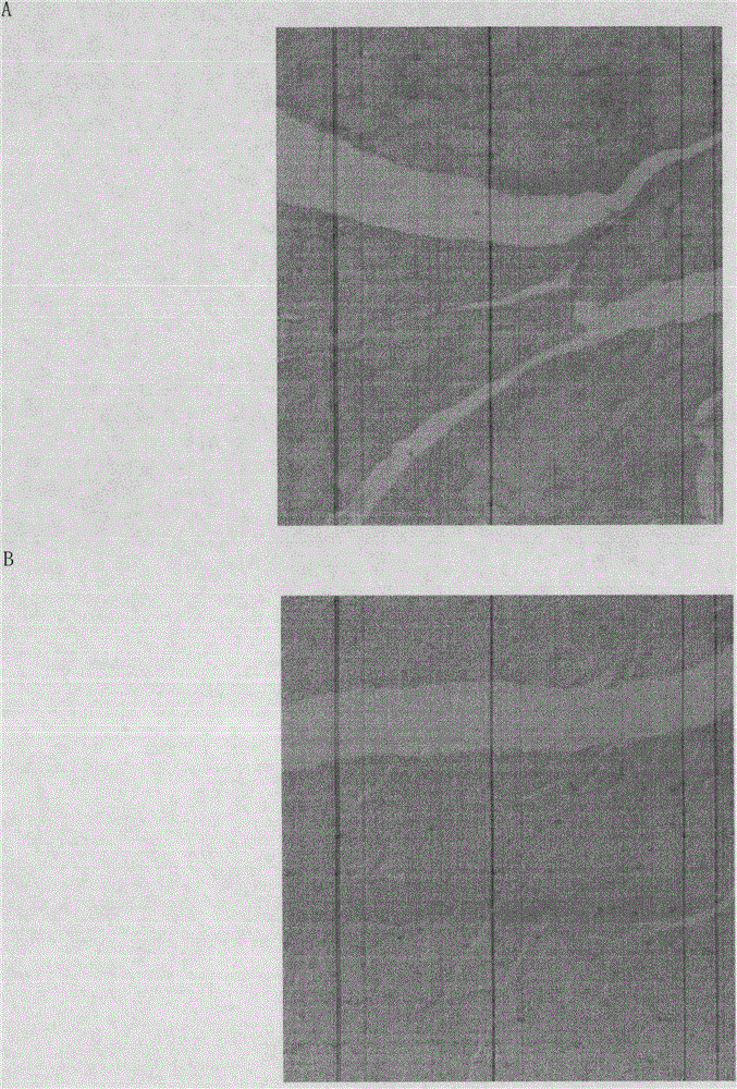 Method of accelerating sample treatment with addition of graphene