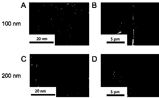 Miniature flexible biological electrode array and preparation method thereof