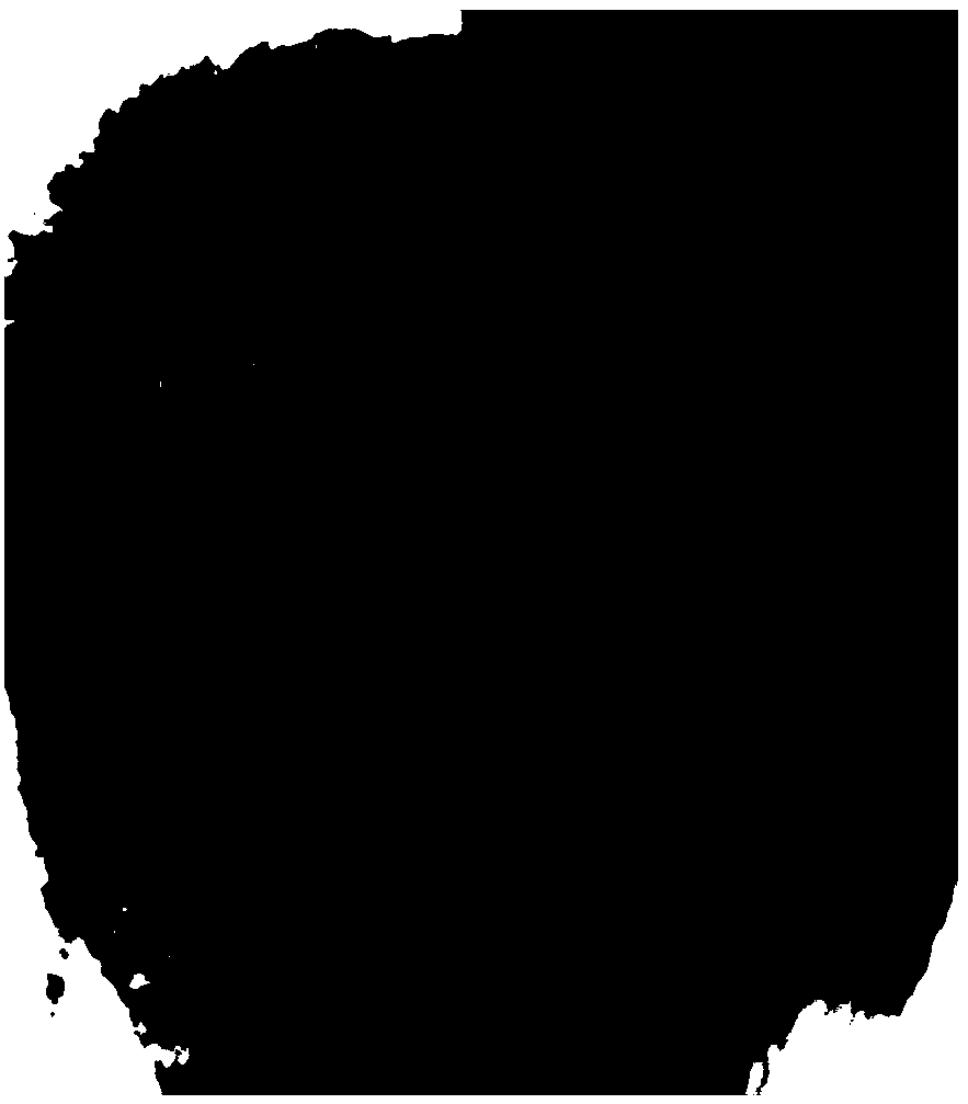 Anti-alopecia shampoo containing natural plant ingredients and preparation method thereof