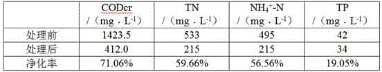 Bacteria immobilization particles for water purification and preparation method of bacteria immobilization particles