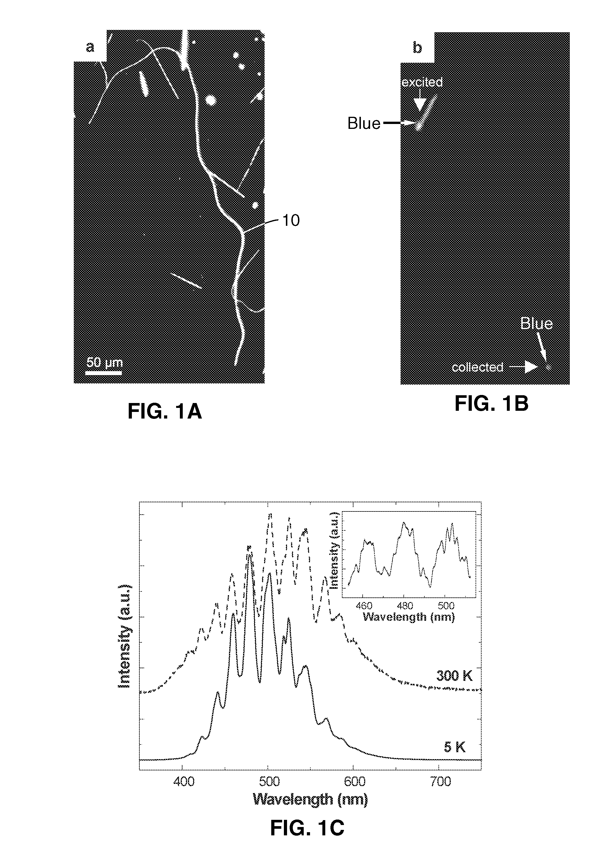 Nanowires and nanoribbons as subwavelength optical waveguides and their use as components in photonic circuits and devices