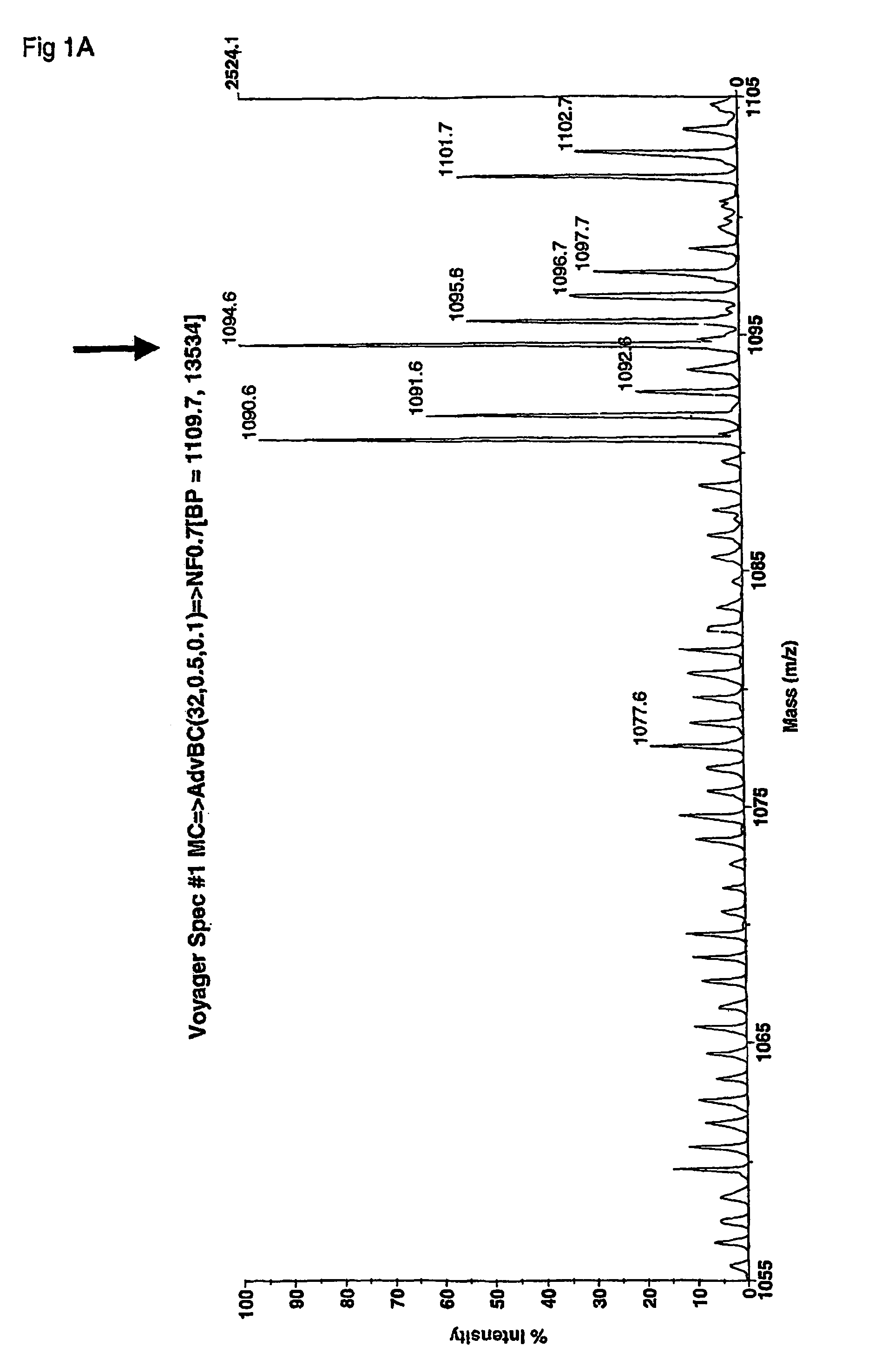 Elastin peptide fingerprints and analysis methods for MMP12 related to COPD