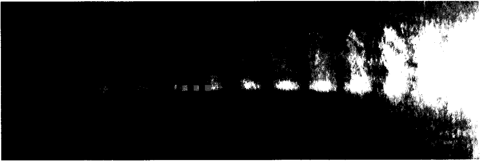 Measuring method of little opening displacement of microcrack