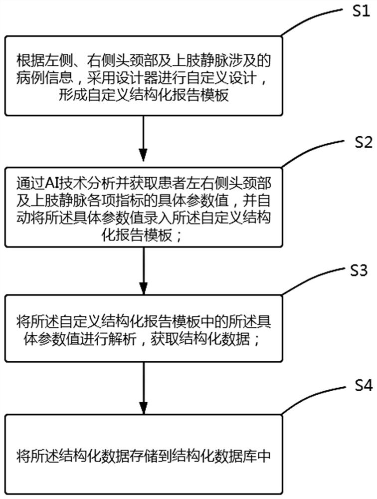 Head and neck and upper limb vein structured report design method and system