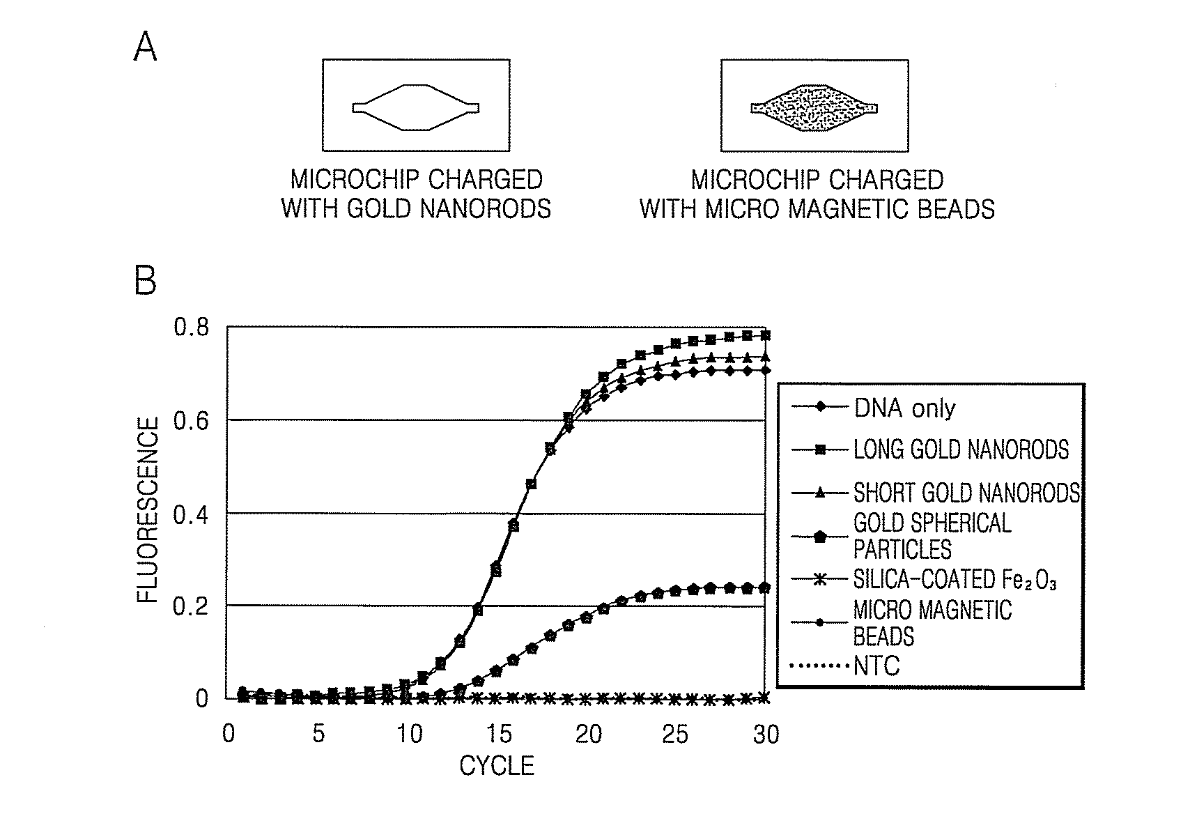 Method and apparatus for disrupting cells and amplifying nucleic acids using gold nanorods