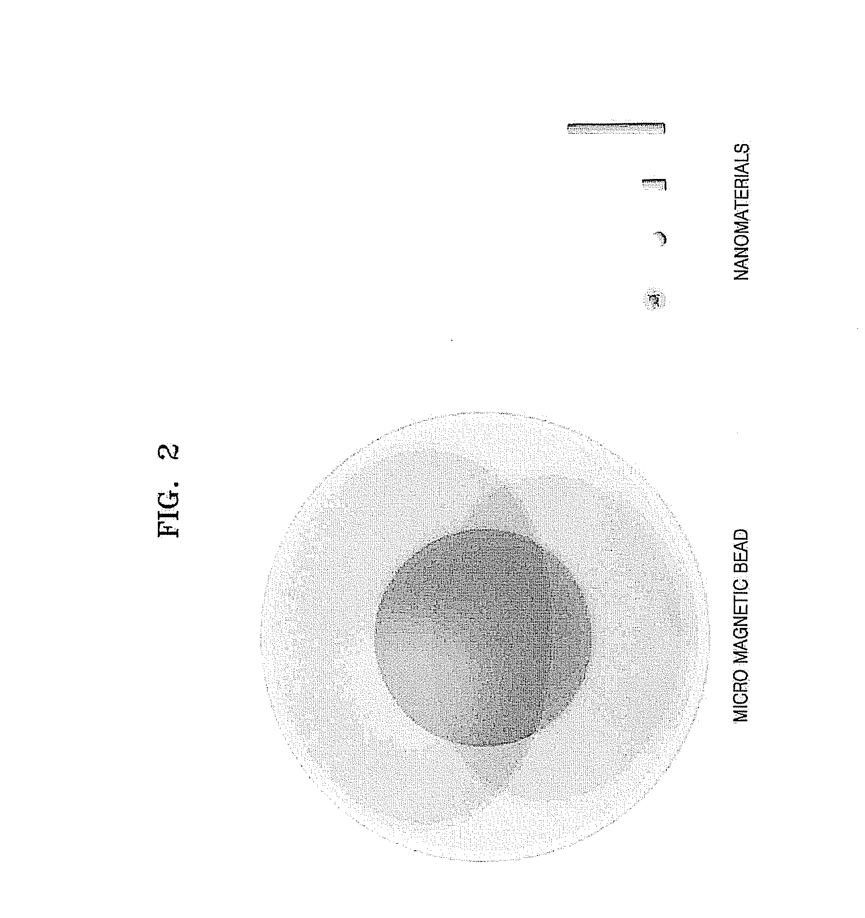 Method and apparatus for disrupting cells and amplifying nucleic acids using gold nanorods