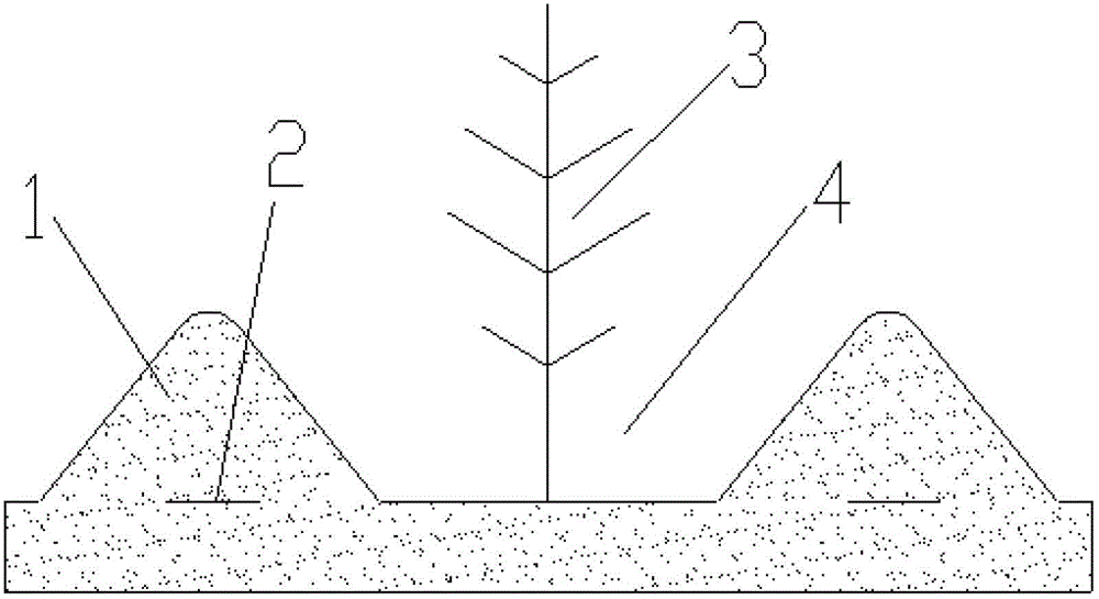 Water-conserving fertilizer-conserving ridging compaction-farming method for dry lands