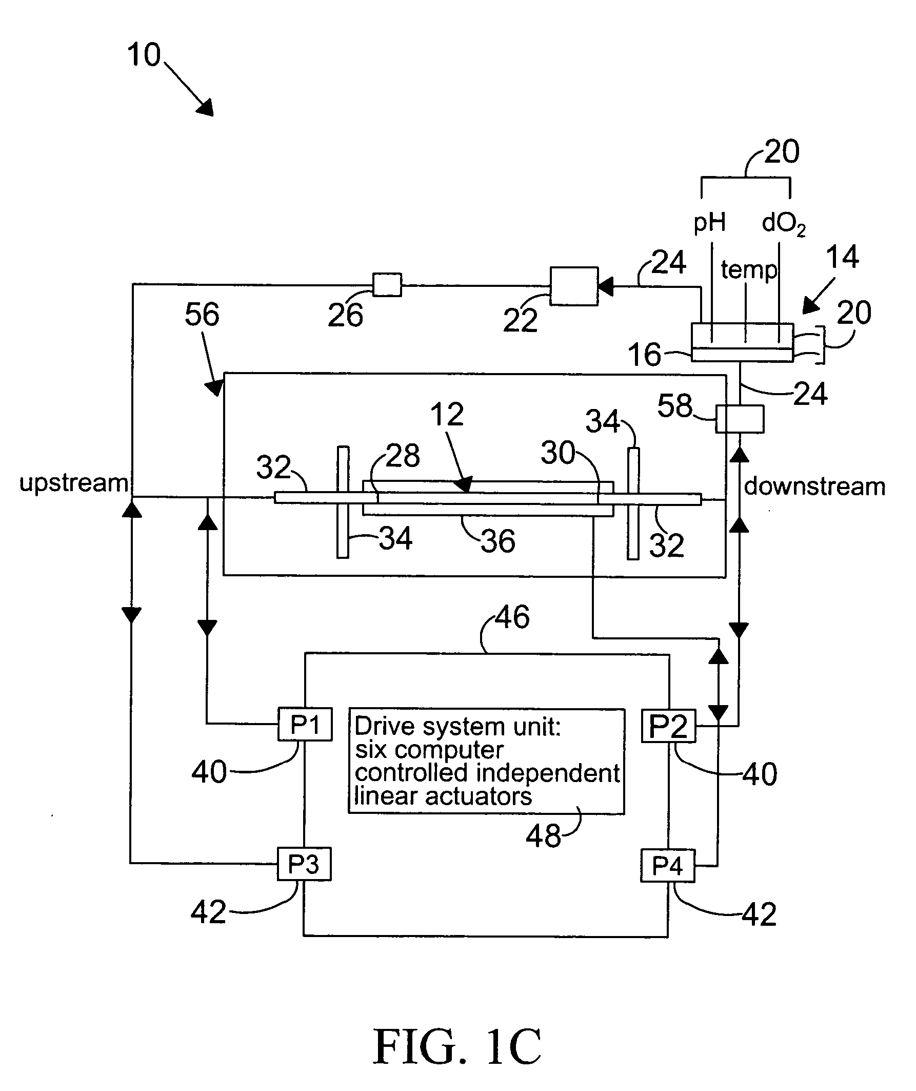 System and method to simulate hemodynamics