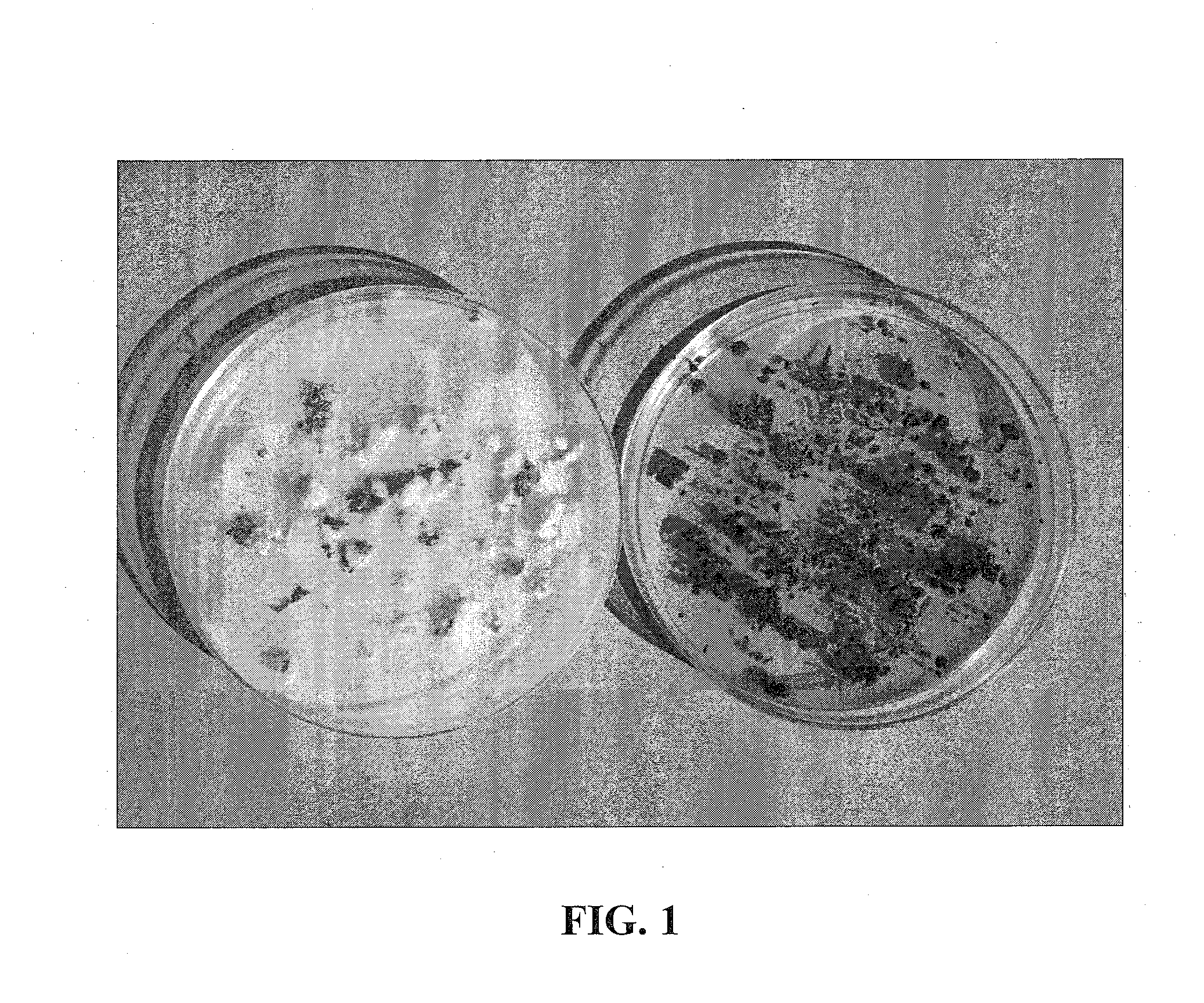 Compositions of Volatile Organic Compounds and Methods of User Thereof