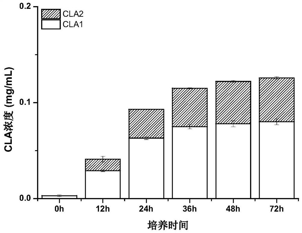 Lactobacillus fermentum and application thereof in preparation of conjugated fatty acid