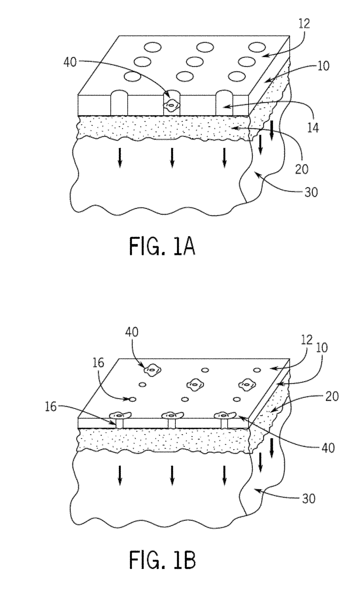 Single cell capture with capture chips