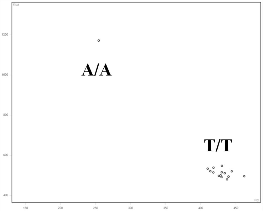 Development and application of KASP molecular marker of rice blast resistance gene Pid3-A4