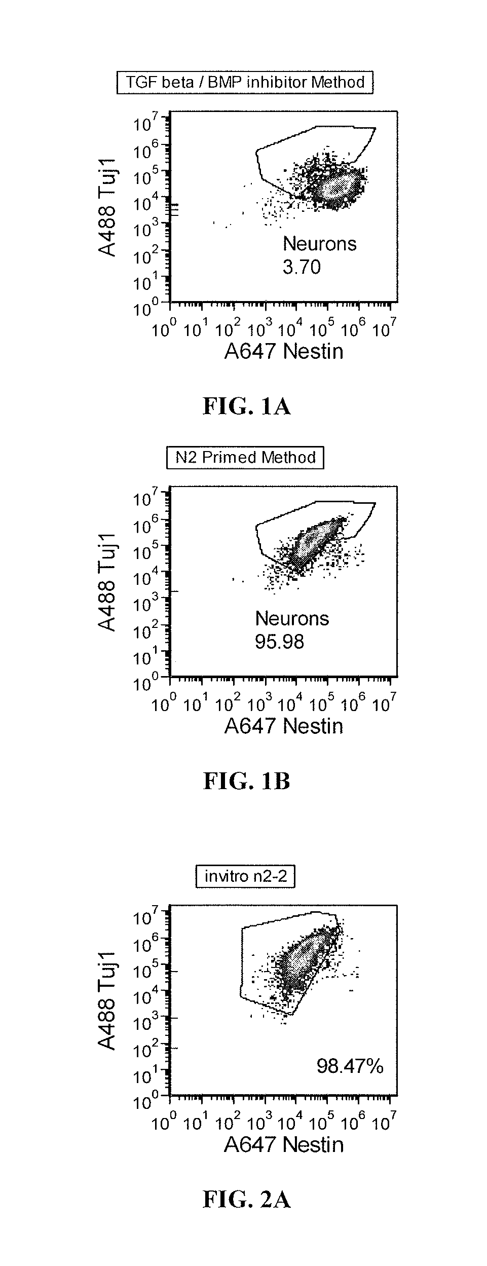 Priming of pluripotent stem cells for neural differentiation