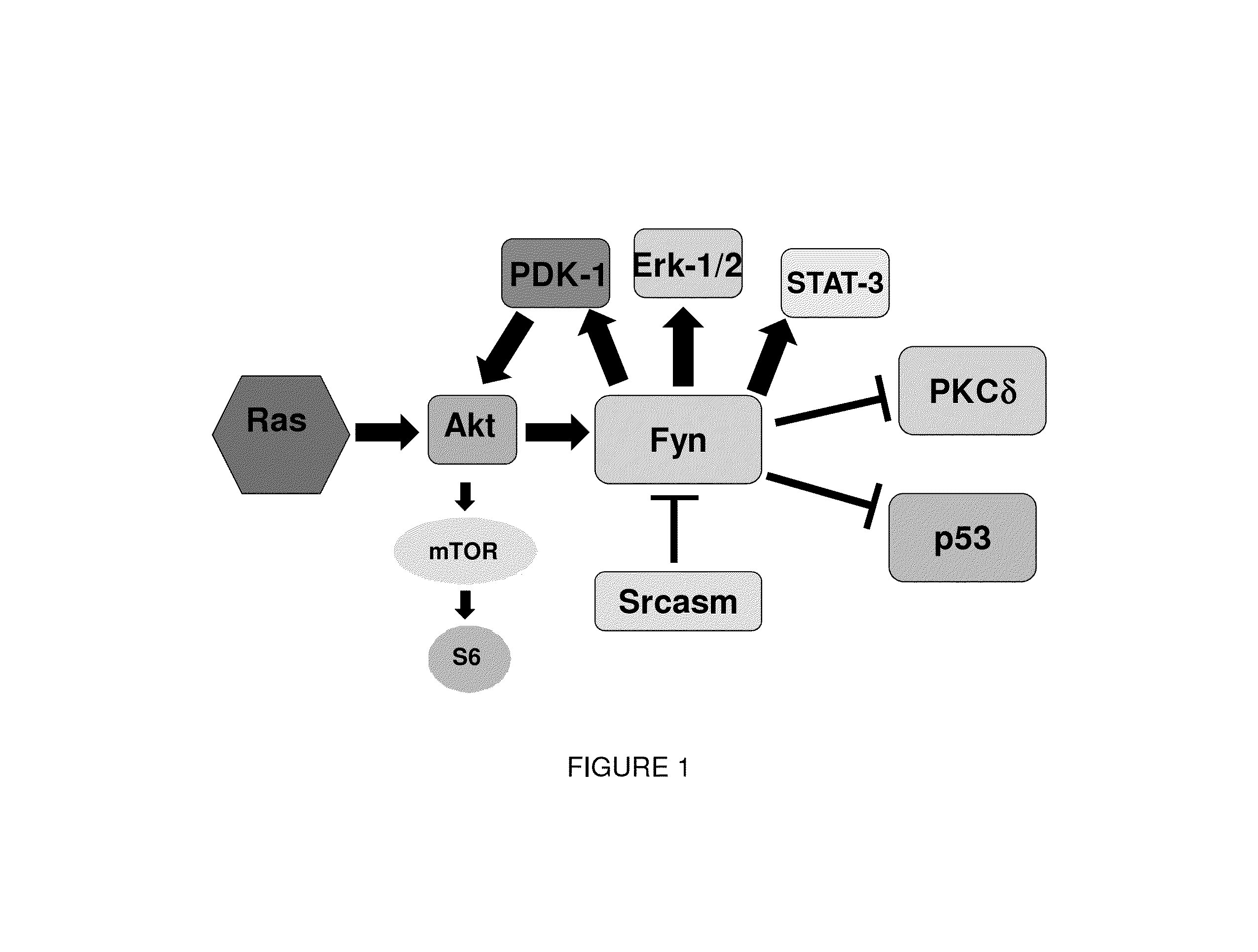 Compositions and methods for treating skin cancer associated diseases