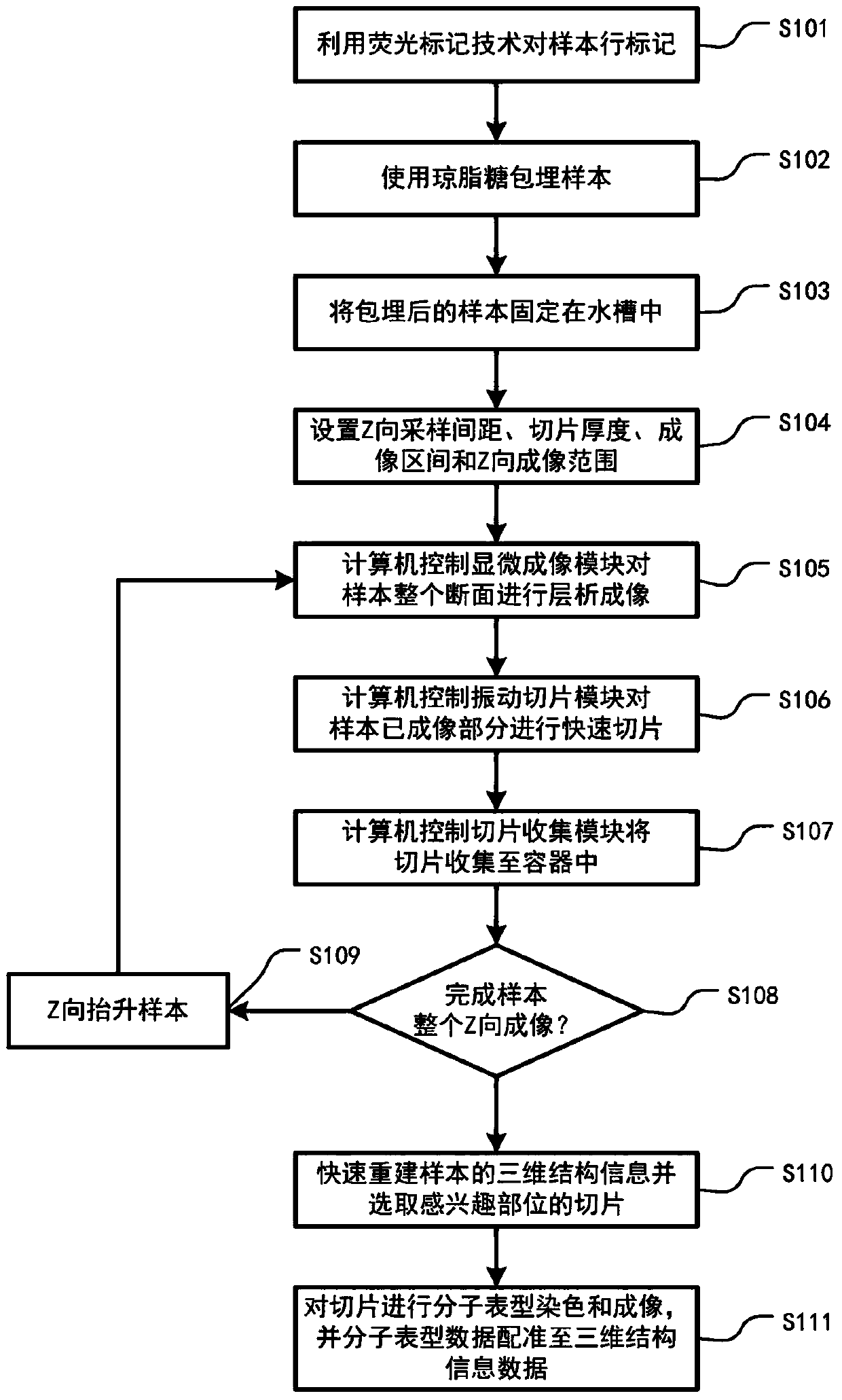 Imaging device and method for rapidly obtaining three-dimensional structure information and molecular phenotype information of large samples