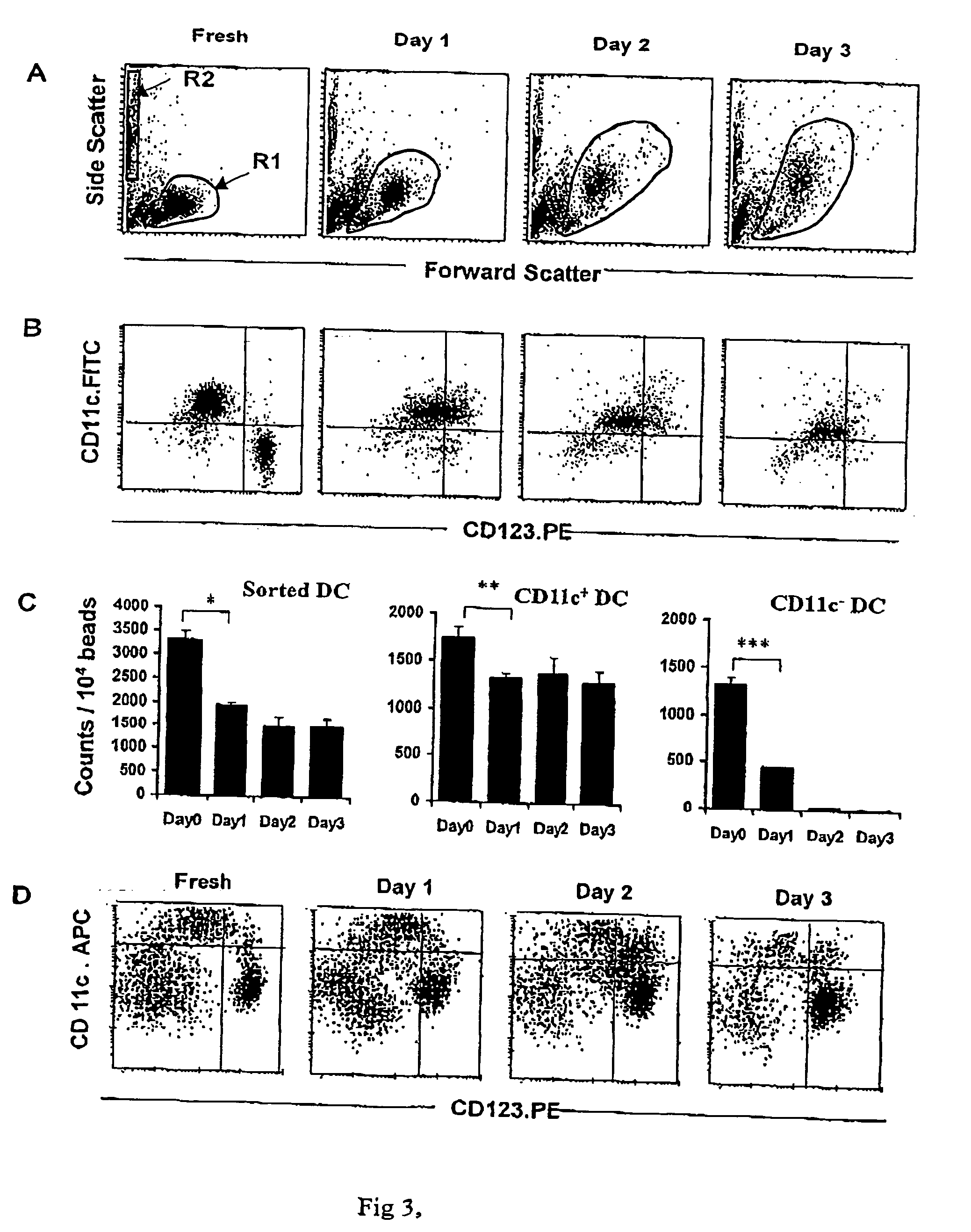 Method for culturing dendritic cells