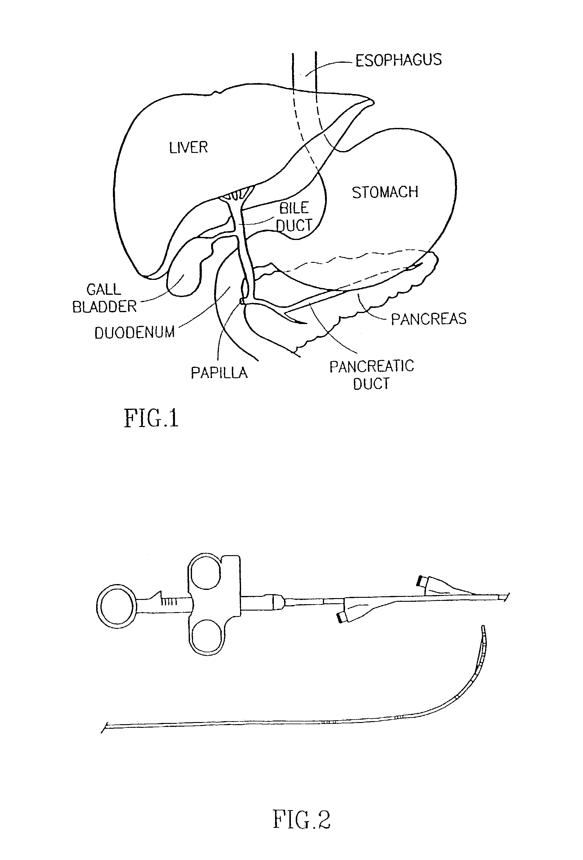 Endoscopic tutorial system for the pancreatic system