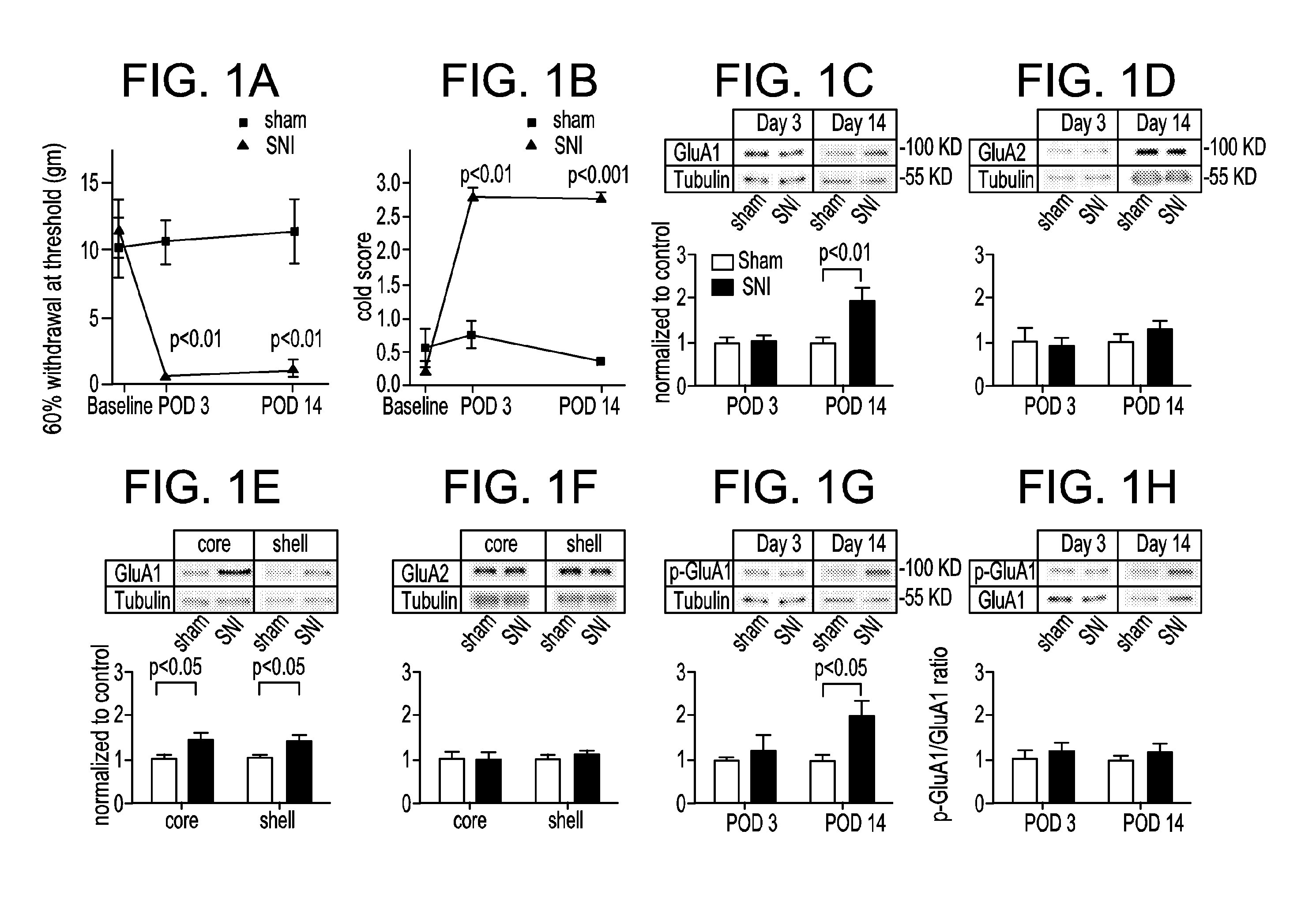 Methods of treating depression and pain