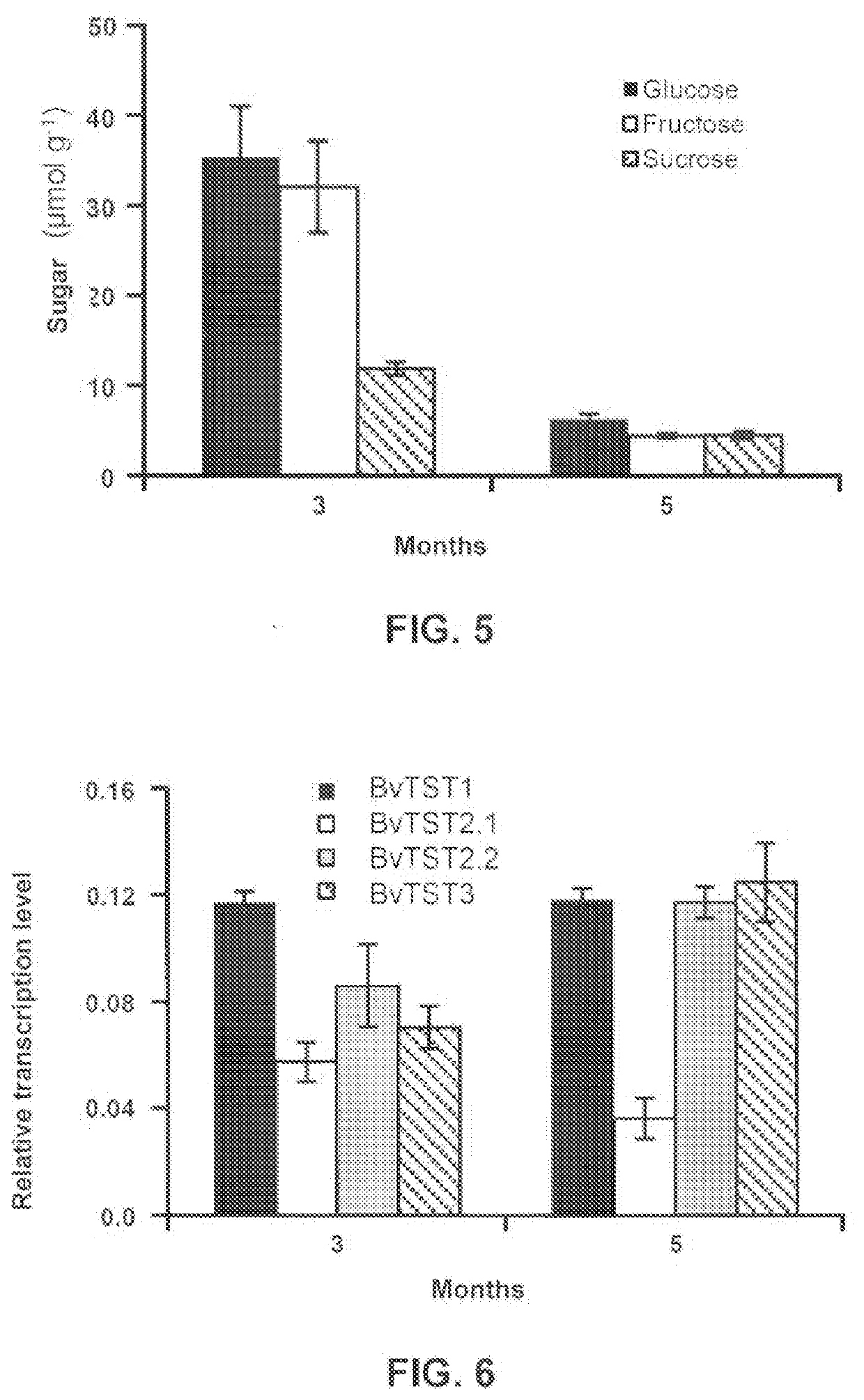 Tonoplast proton/sugar antiporter proteins and the use thereof to increase the saccharose concentration in a saccharose storage organ of plants