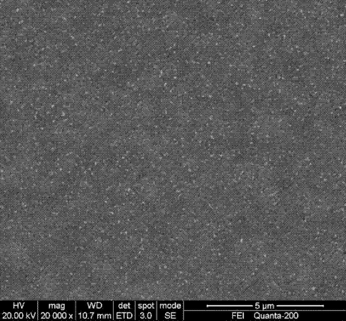 Ferrous disulfide semiconductor film preparation method