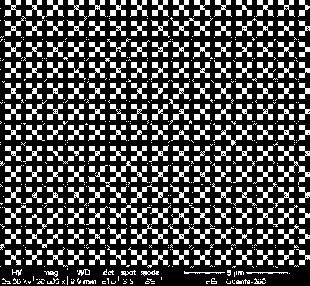 Ferrous disulfide semiconductor film preparation method