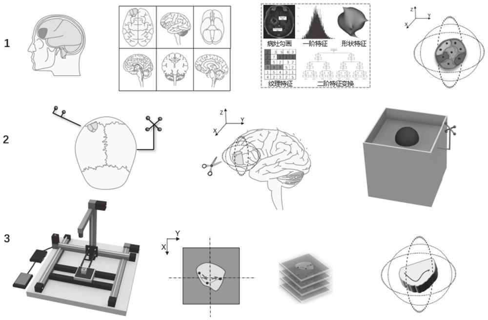 Multi-point accurate sampling system, method and device for brain tumors