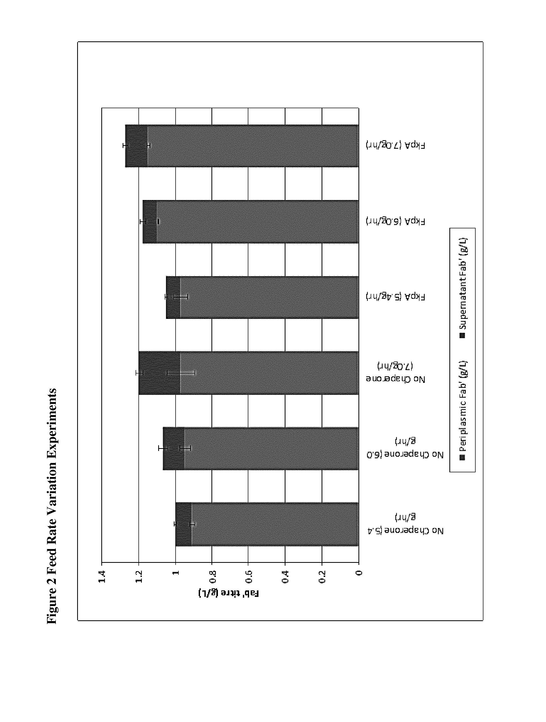 Recombinant Bacterial Host Cell for Protein Expression