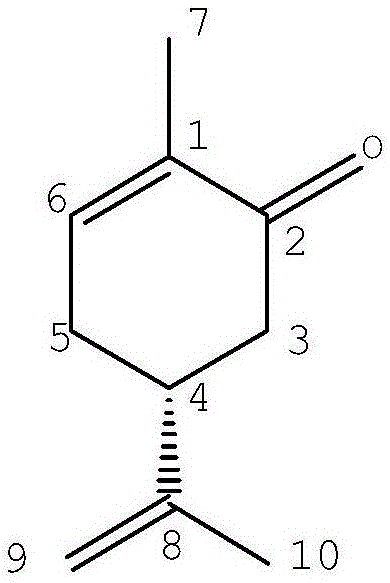 Preparation method and application of carvone