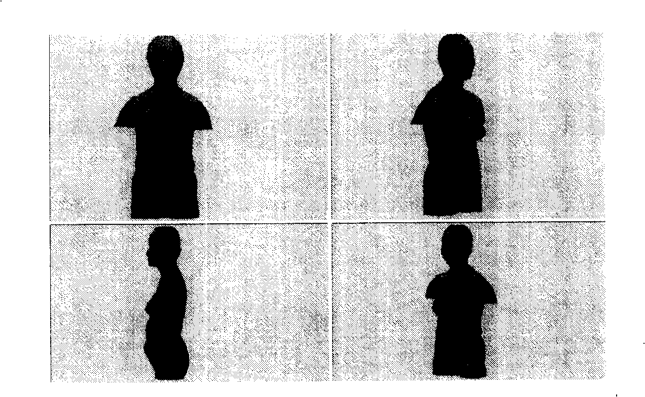 Design method for personalized brassiere cup seam dart in three-dimensional virtual chest form environment