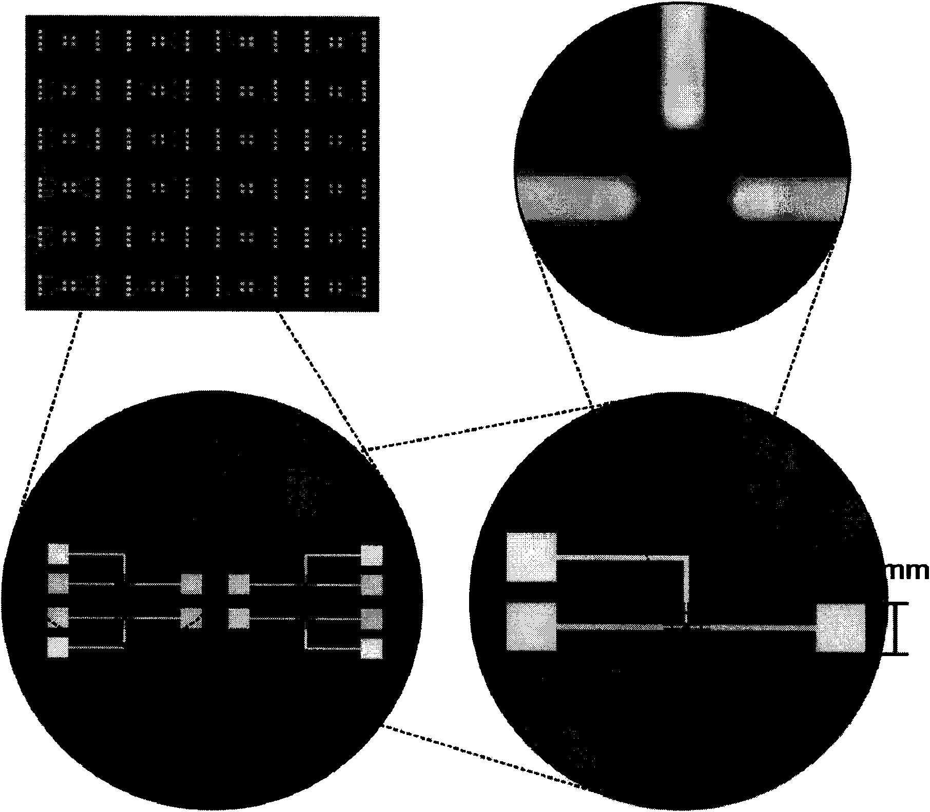 Electrochemical ultra-micro compound electrode and preparation method thereof