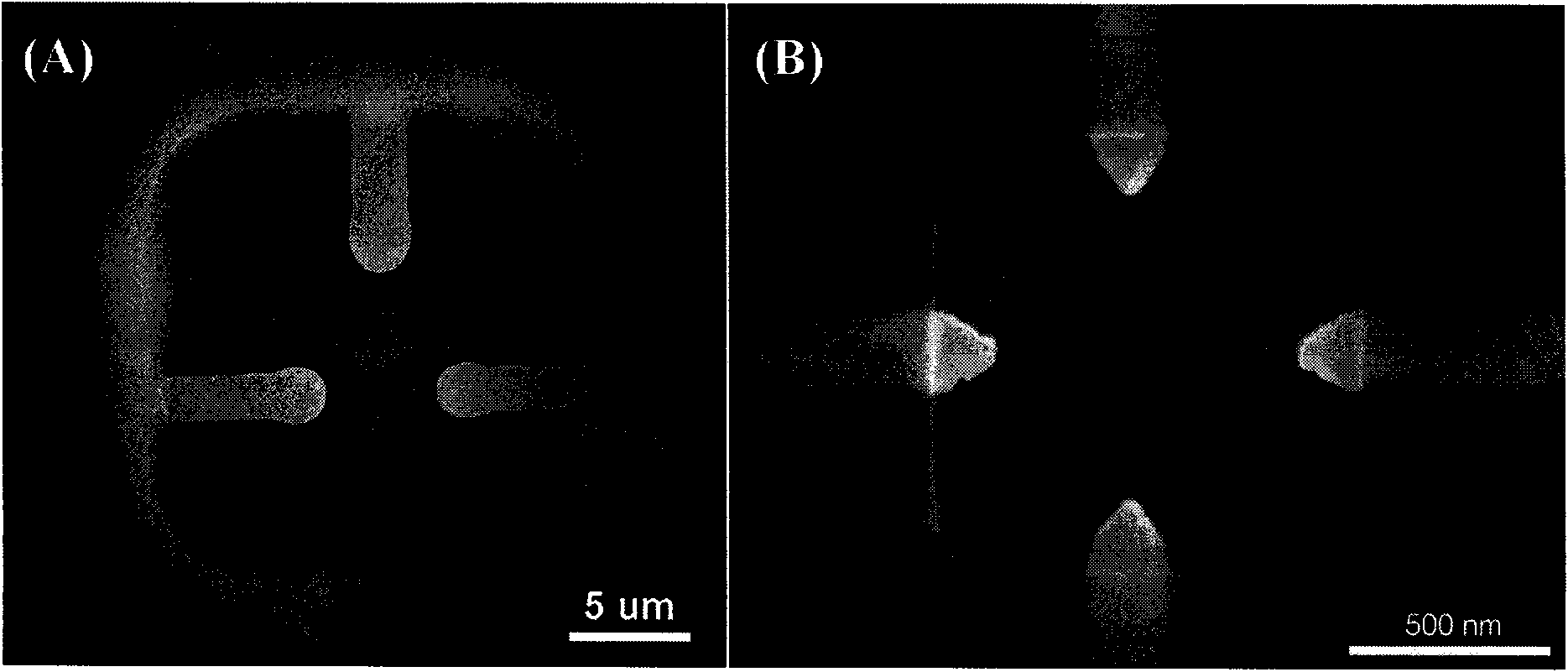 Electrochemical ultra-micro compound electrode and preparation method thereof