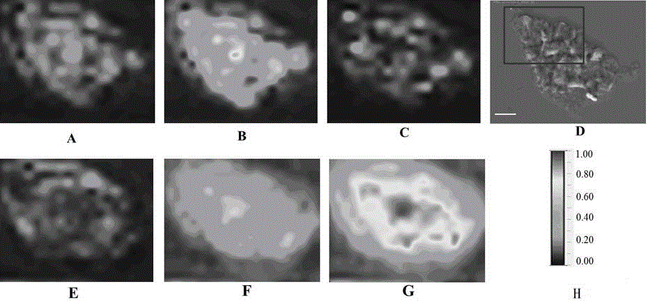 Method for submicron-scale in-situ characterization of soil microaggregate