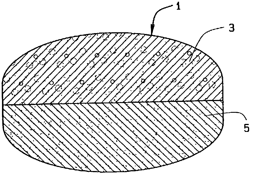 Layered tablet water treatment compositions and method of use