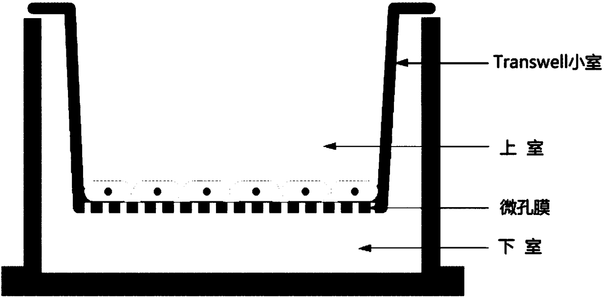 A kind of separation and purification method of leech polypeptide