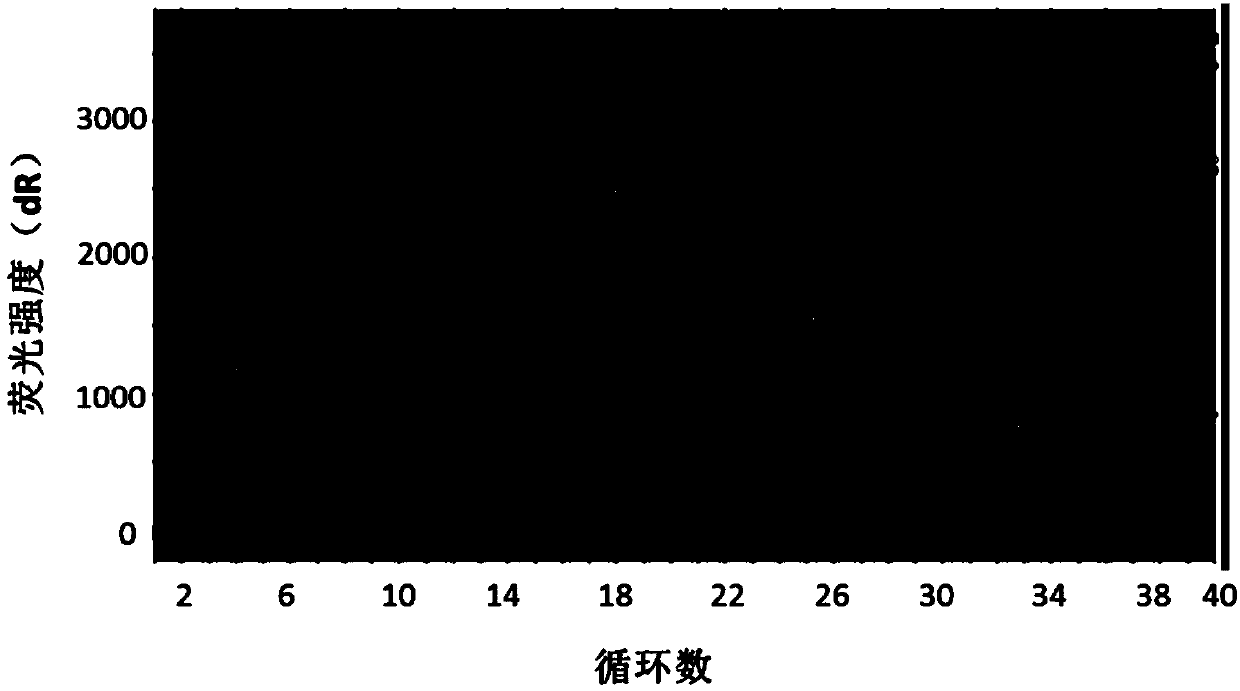 A highly sensitive bhv-2 real-time fluorescent quantitative PCR detection method and kit