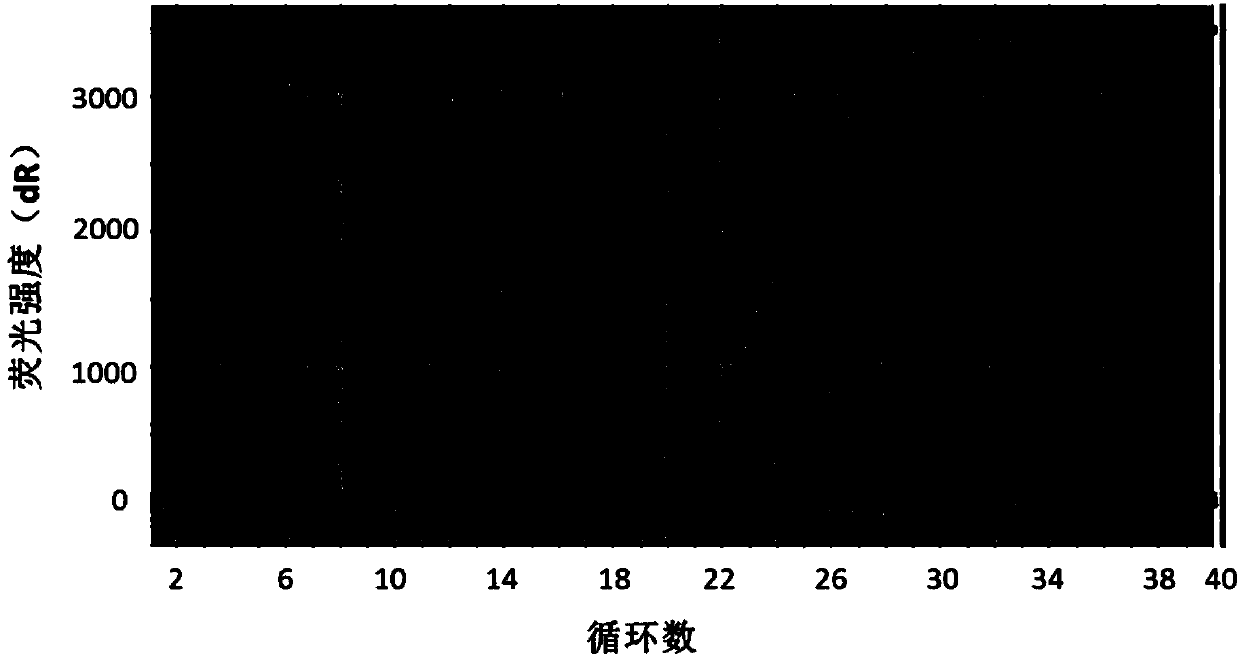 A highly sensitive bhv-2 real-time fluorescent quantitative PCR detection method and kit