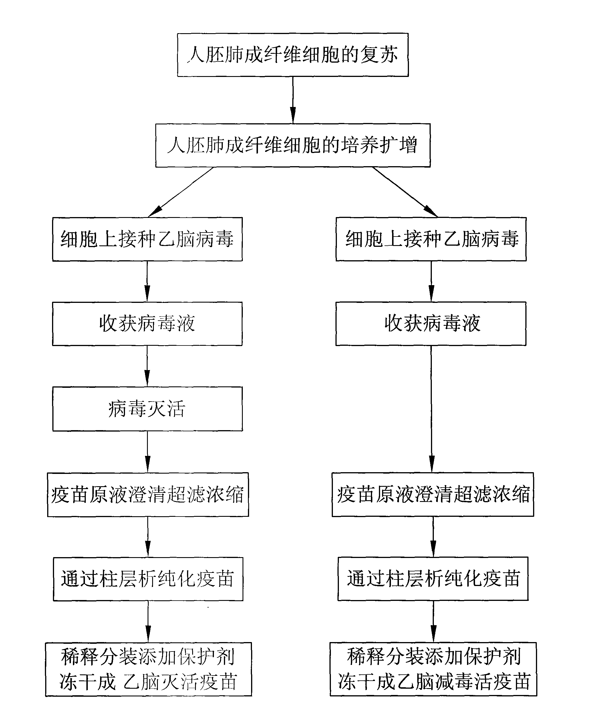 Japanese encephalitis vaccine prepared by human embryonic lung fibroblasts and preparation method thereof