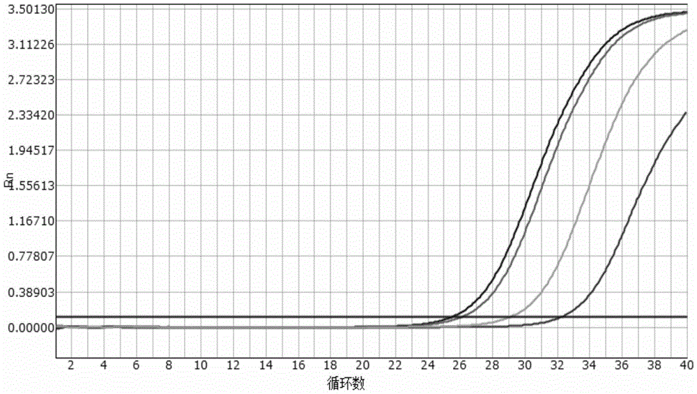 Vibrio cholerae multiplex fluorescence PCR detection kit as well as preparation and application thereof