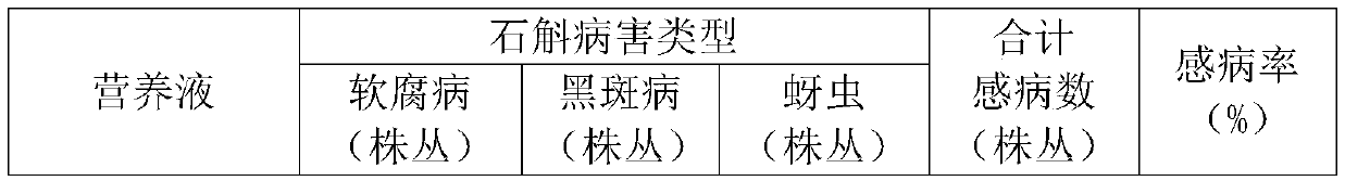 Method for planting dendrobium L. through culture medium prepared from rural waste resources